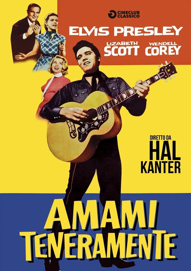 Amami Teneramente DVD Edizione italiana. Nuovo sigillato