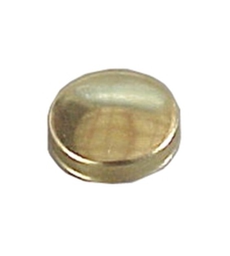 PEZZI 200-BORCHIE COPRIVITI OTTONE LUCIDO 20