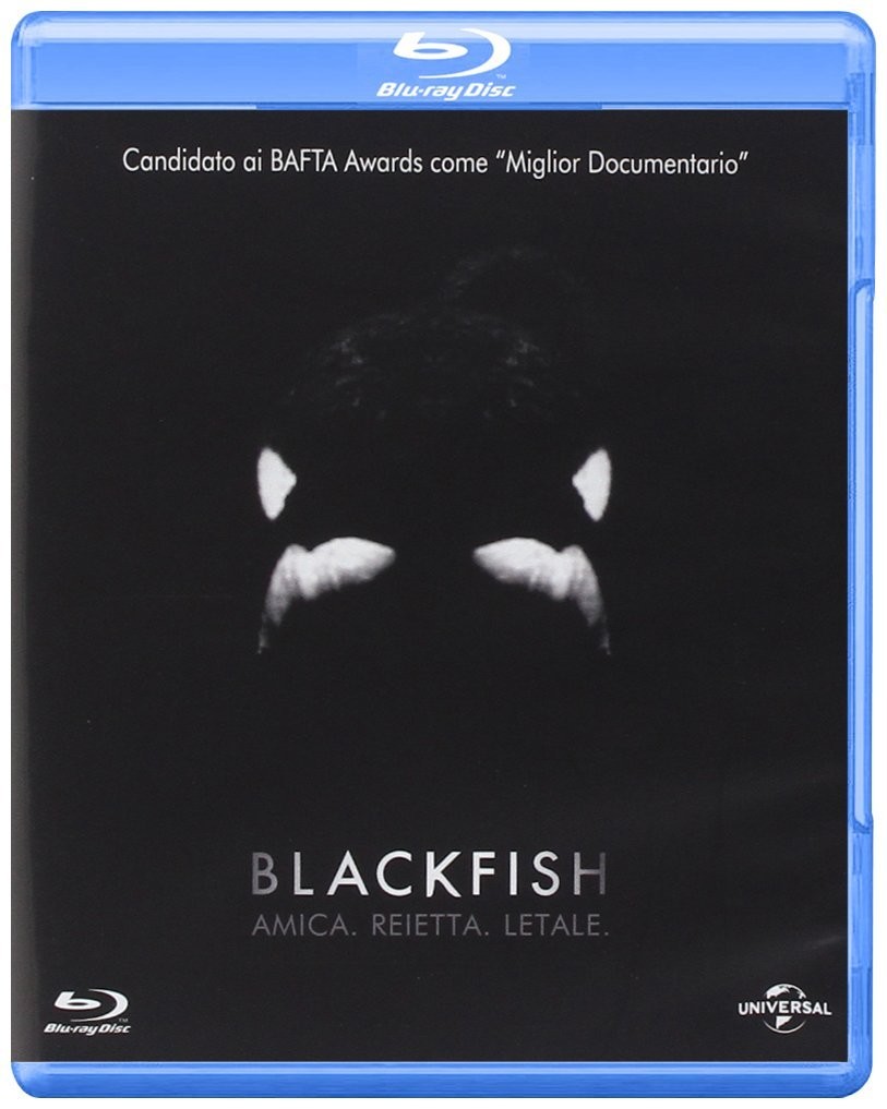 Blackfish
