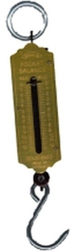 BILANCETTE TASCABILI KG.12,5