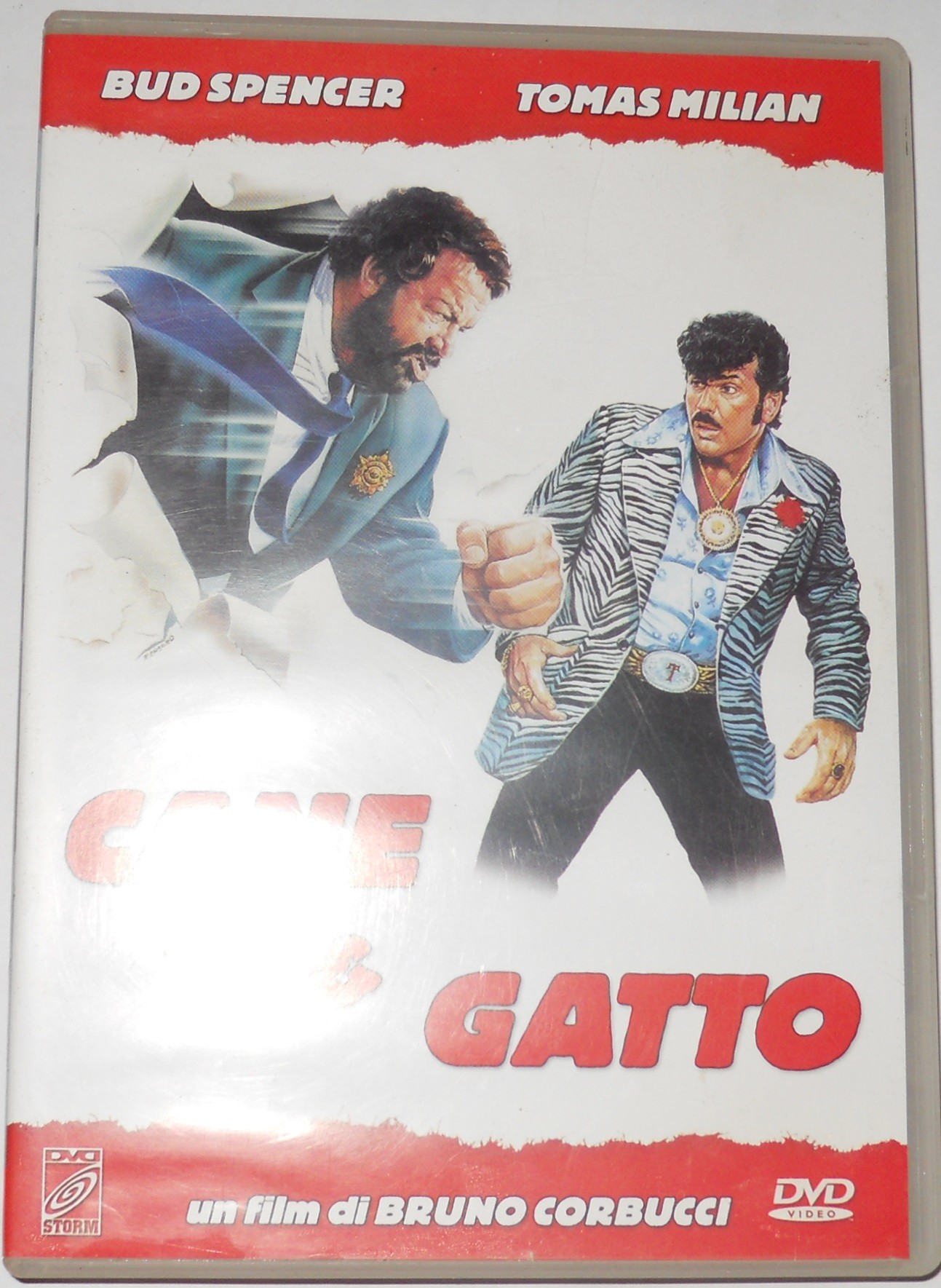 Cane e Gatto