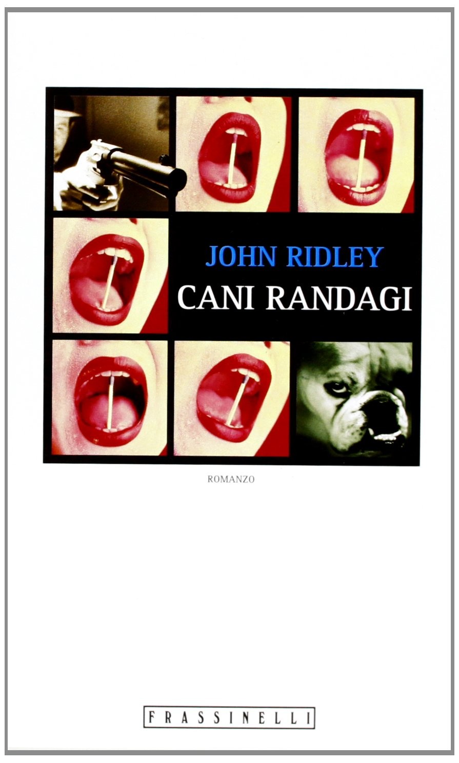 CANI RANDAGI