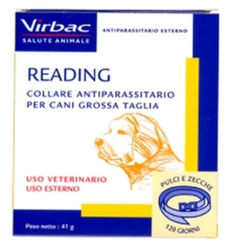 PEZZI 24-COLLARI ANTIPARASSITARI CANI GRANDI