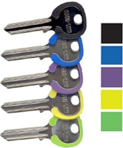 PEZZI 100-CHIAVI SILKY ASSORTITE NEW CS206 DZ1