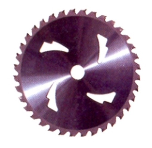 DISCHI DECESPUGLIATORE 36D/255 58265
