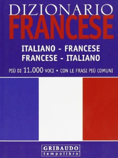 DIZIONARIO FRANCESE