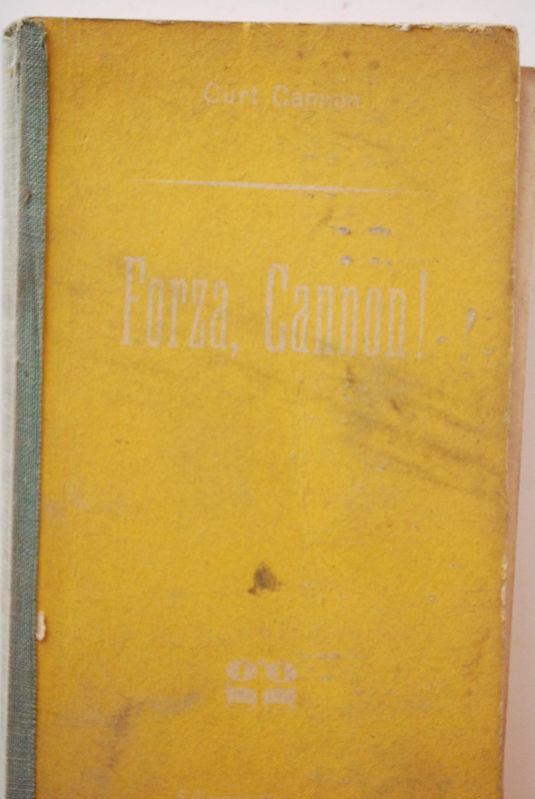 Forza , Cannon!
