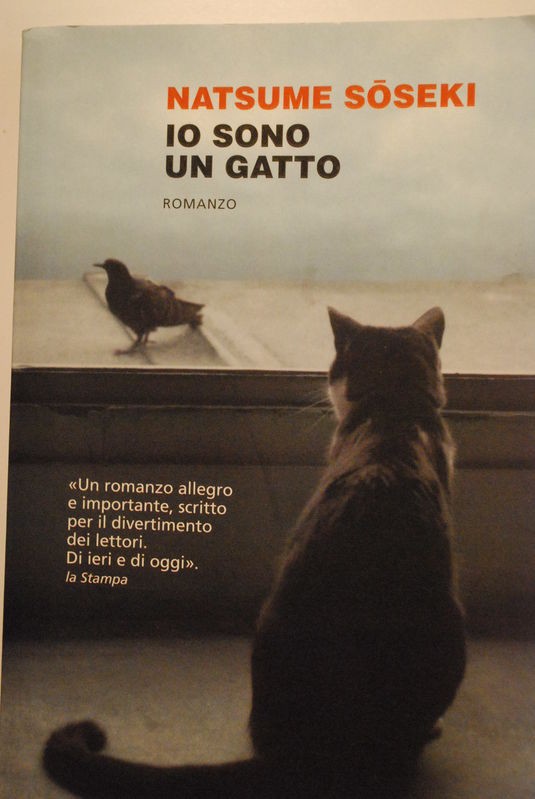 Io sono un gatto