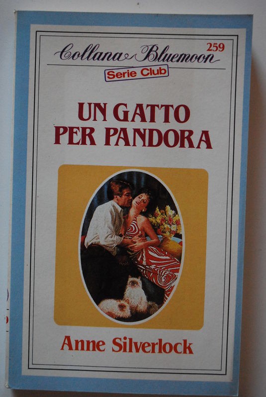 Un gatto per Pandora