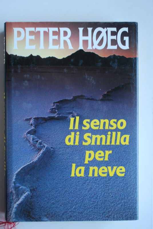 Il senso di Smilla per la neve