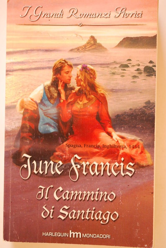 Il cammino di Santiago