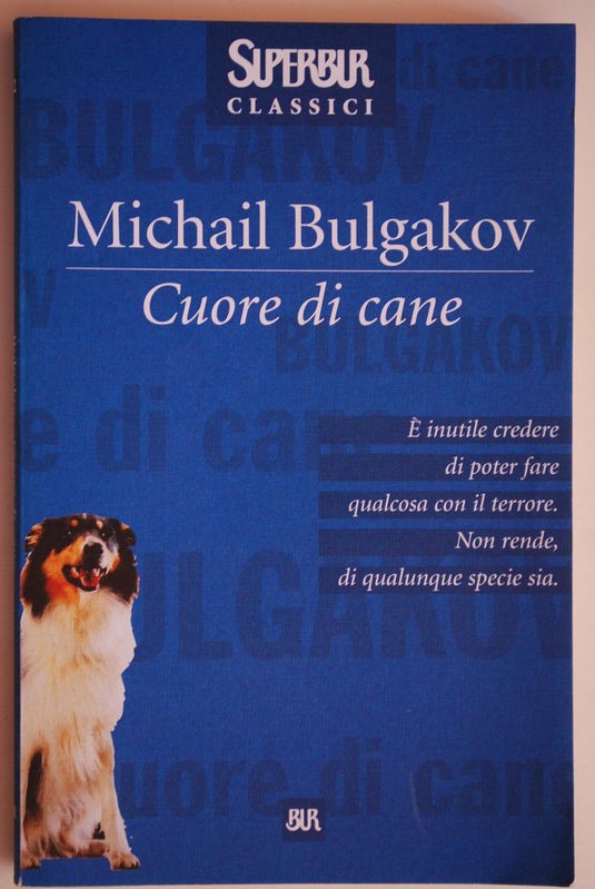 Cuore – di cane
