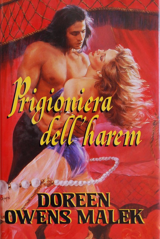 Prigioniera dell'harem