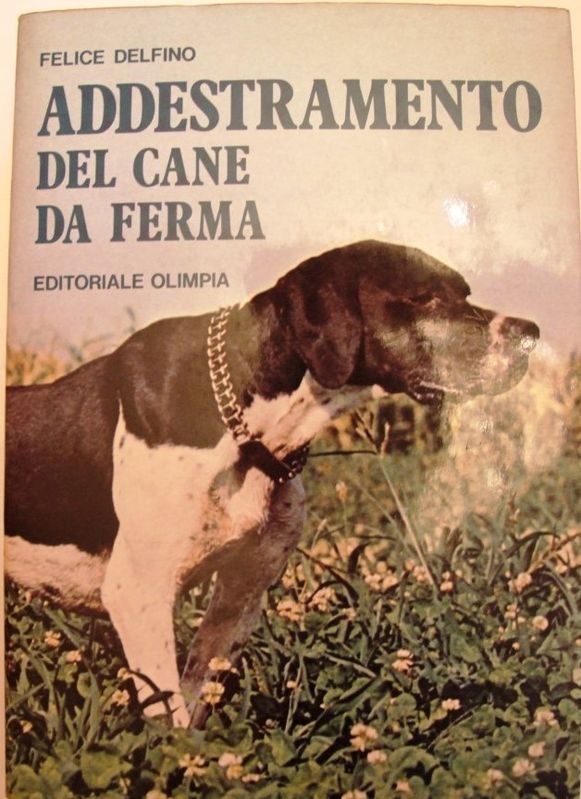 Addestramento del cane da ferma