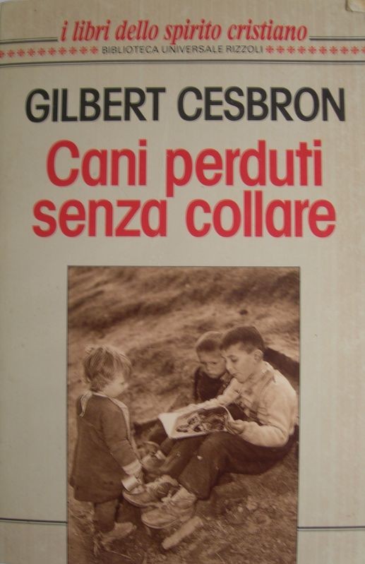 Cani perduti senza collare