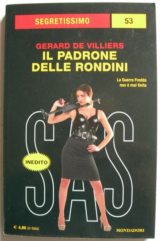 Il padrone delle rondini