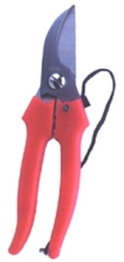 PEZZI 12-FORBICI COGLIFRUTTA FALCI INOX