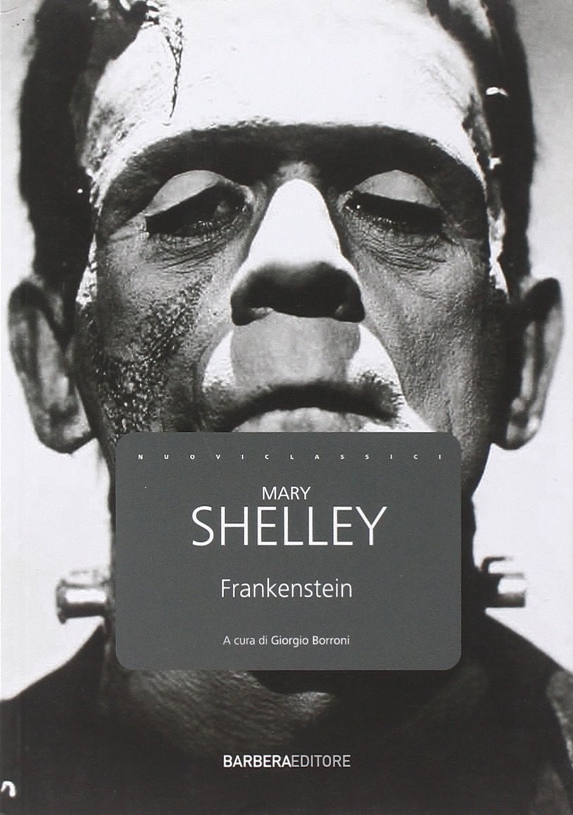 Lotto stock 10 copie  Frankenstein - Mary Shelley - Barbera editore