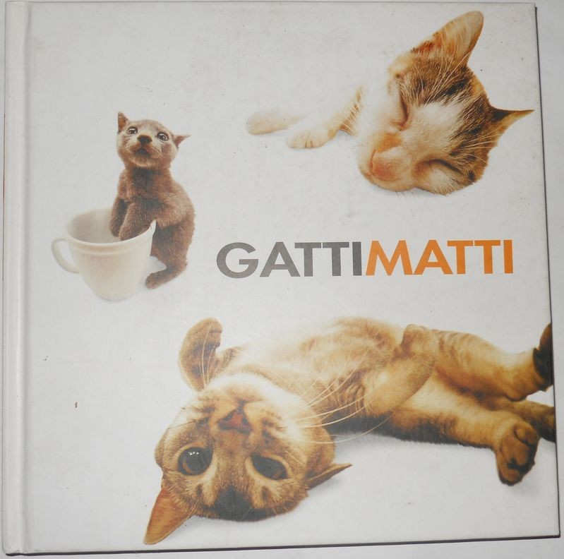 Gatti Matti