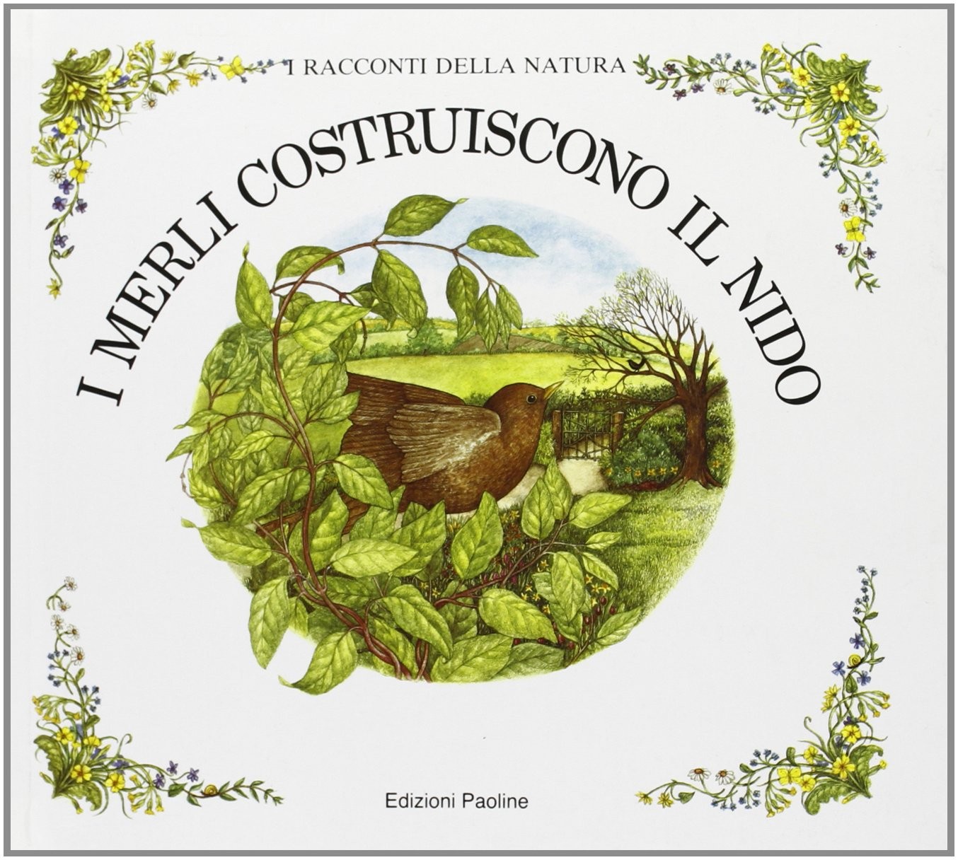 MERLI COSTRUISCONO IL NIDO