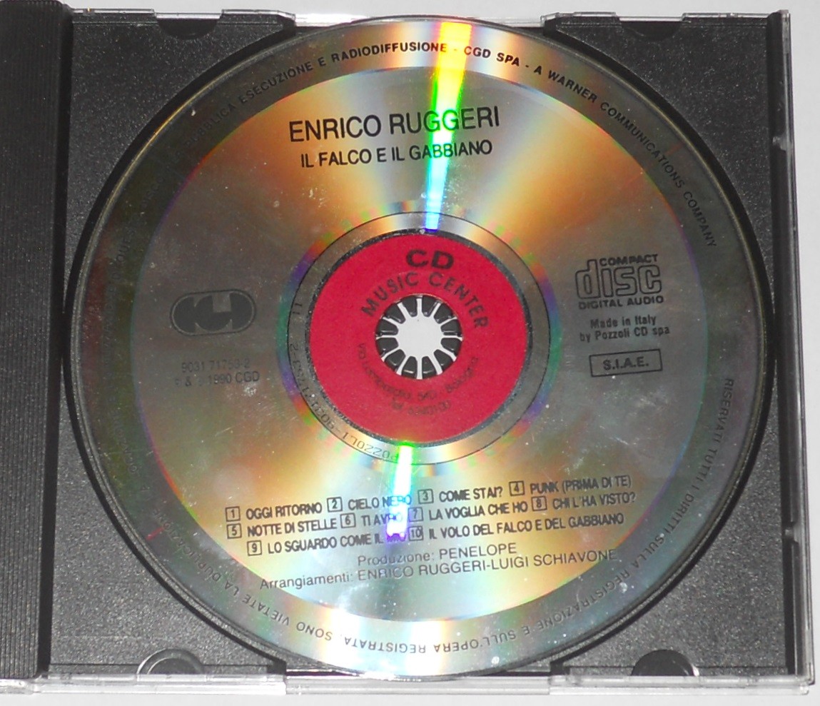 Enrico Ruggeri - Il falco e il gabbiano