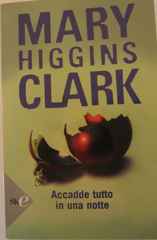 Accadde tutto in una notte