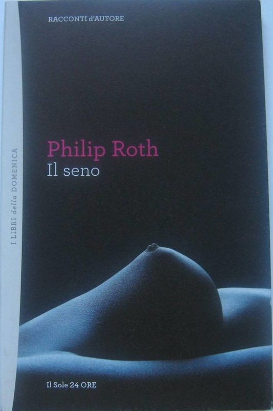 Il seno