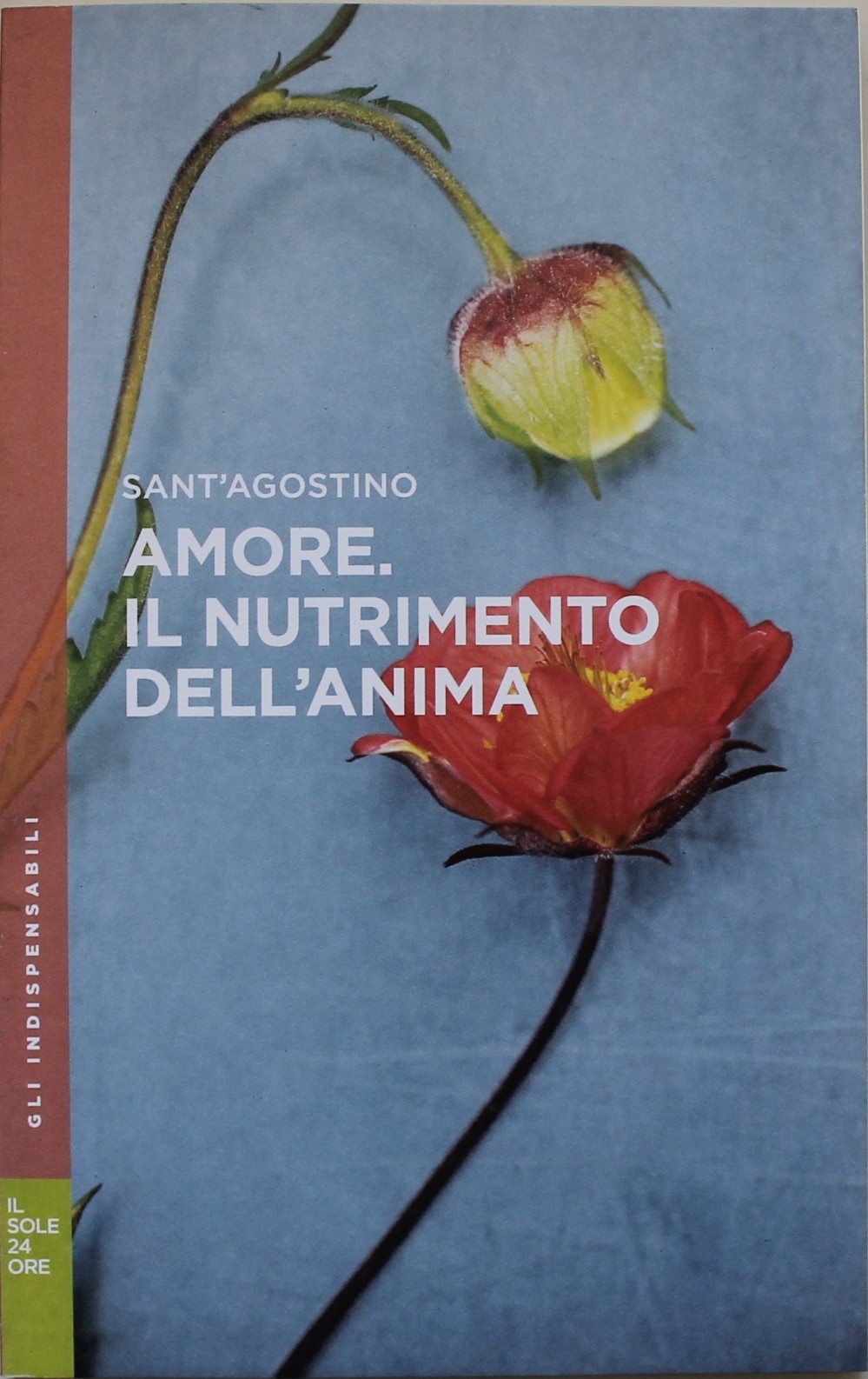 Amore. Il nutrimento dell'anima, Sant'Agostino. Gli indispensabili n.8. Il Sole 24 ore