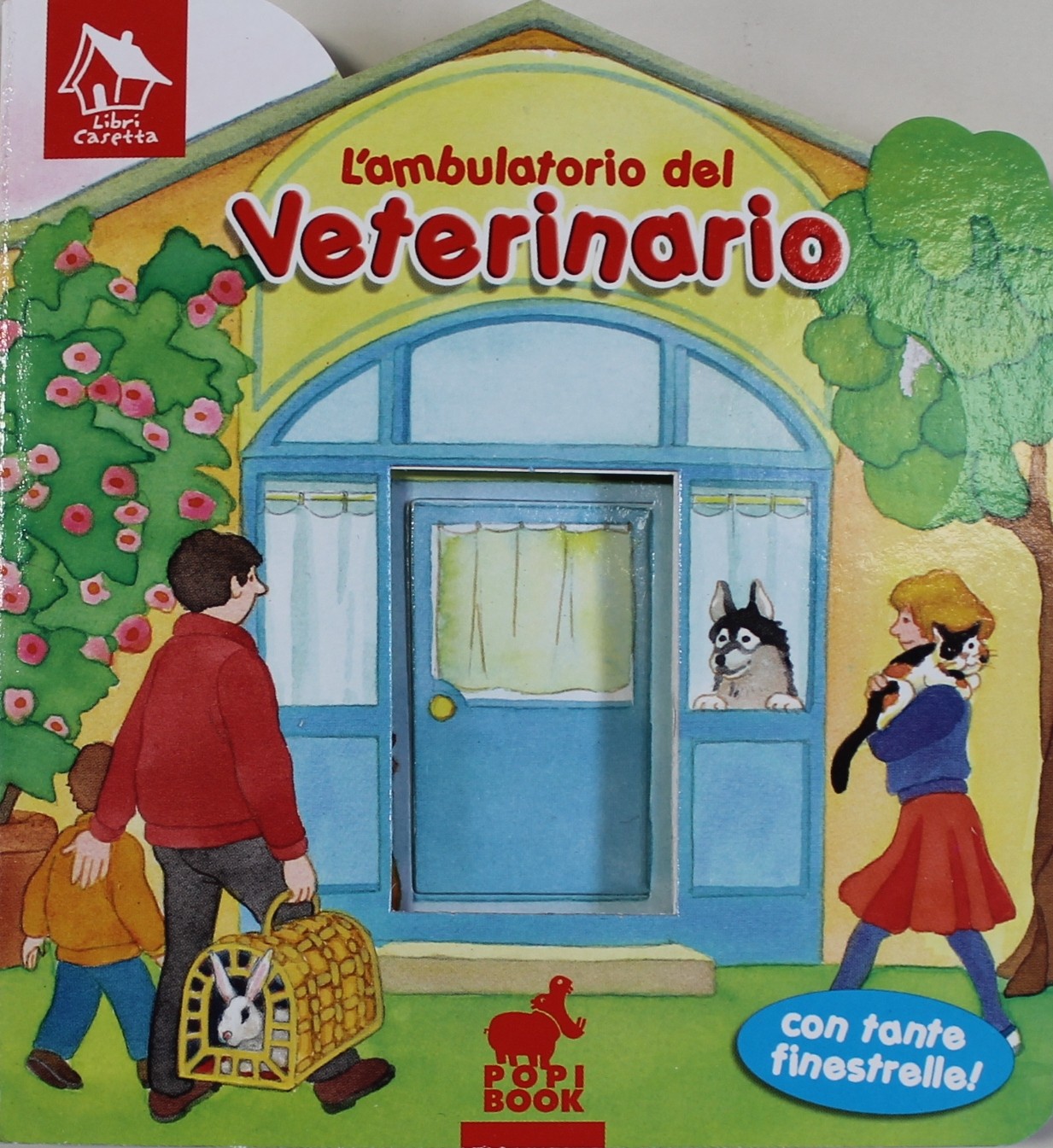 AMBULATORIO DEL VETERINARIO (L')