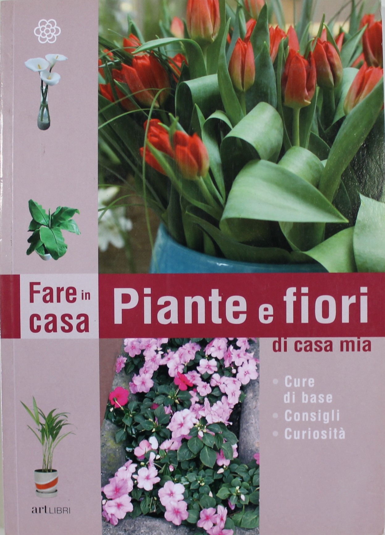 PIANTE E FIORI DI CASA MIA