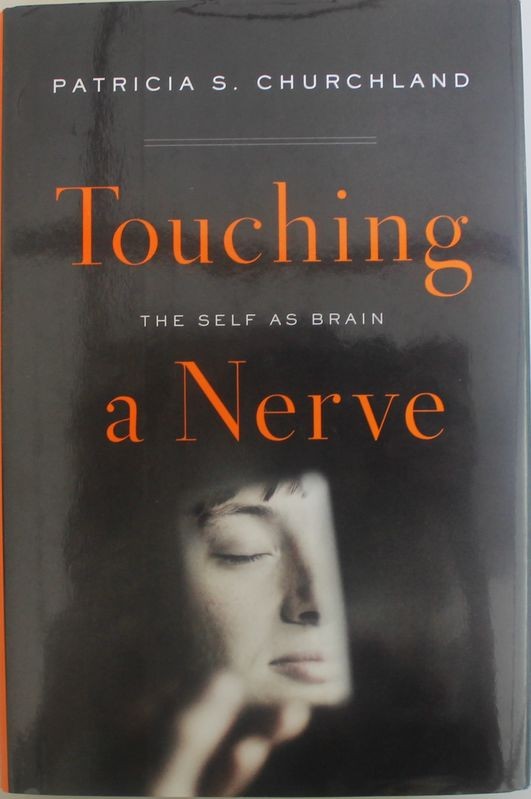 Touching a Nerve: The Self As Brain