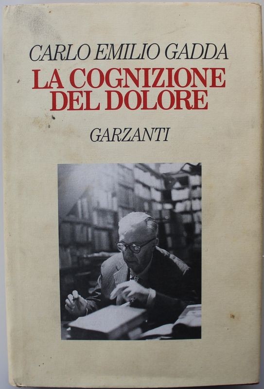 La cognizione del dolore