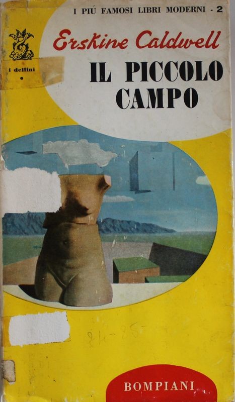 Il piccolo campo