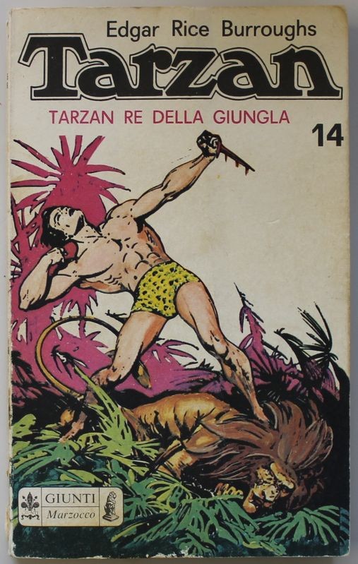 Tarzan re della giungla 14