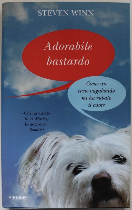 Adorabile bastardo. Come un cane vagabondo mi ha rubato il cuore
