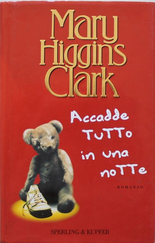 Accadde tutto in una notte
