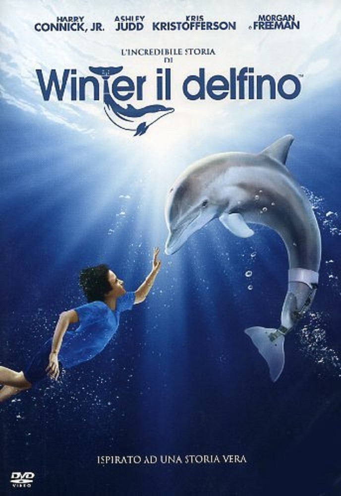 L' Incredibile Storia Di Winter Il Delfino