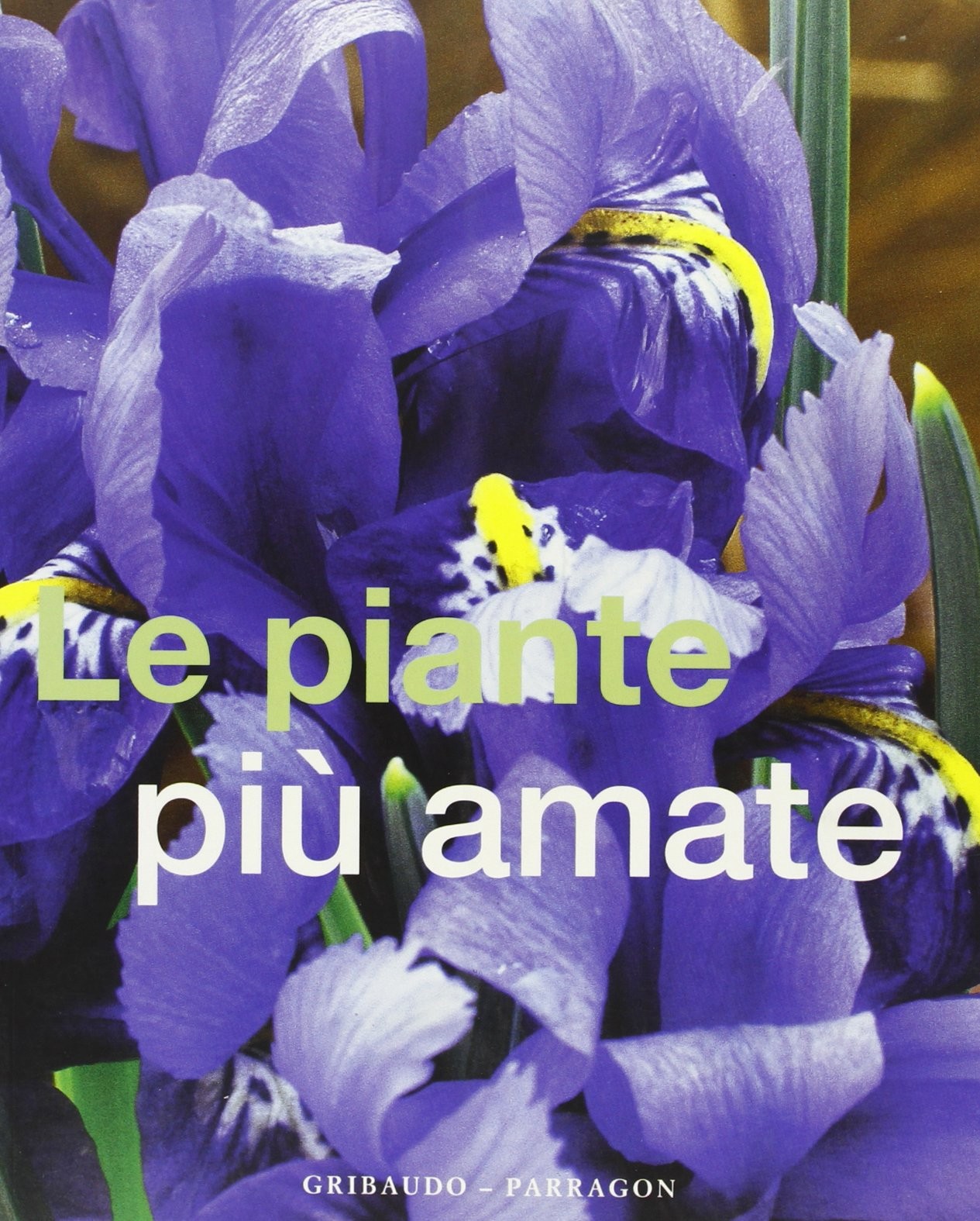 PIANTE PIU' AMATE