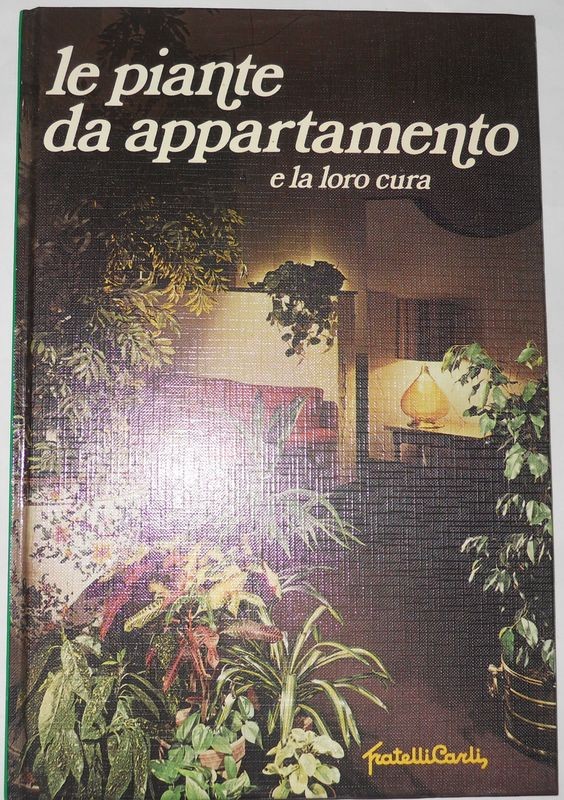 Le piante da appartamento e la loro cura