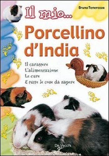 Il Mio... Porcellino D'India Bruno Tenerezza De Vecchi