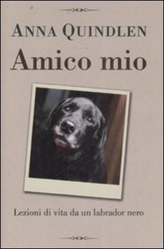 Amico Mio Lezioni Di Vita Da Un Labrador Nero  Quindlen, Anna de Agostini