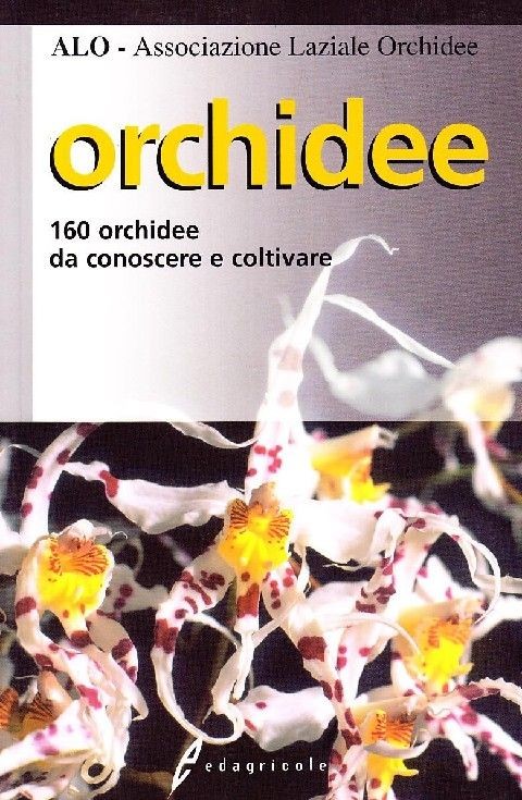 Orchidee 160 Orchidee Da Conoscere E Coltivare  Associazione Laziale Orchidee Calderini e Edagricole