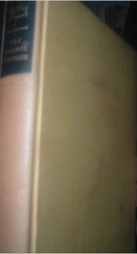 Gli Amanti D'Estate, Romanzo Alpert Hollis Longanesi & C. 