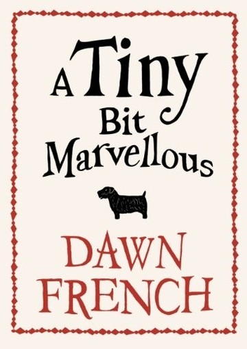 A Tiny Bit Marvellous Dawn French Penguin 