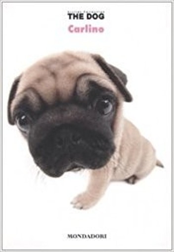 Carlino  Bonetti, Mathilde Arnoldo Mondadori Editore