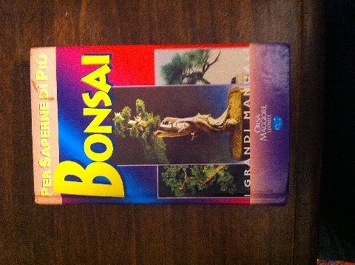 Bonsai Gianfranco Giorgi Orsa Maggiore Editrice