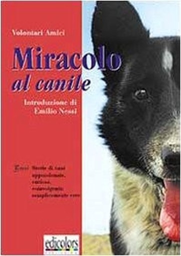 Miracolo Al Canile Brevi Storie Di Cani, Appassionate, Curiose, Coinvolgenti: Semplicemente Vere  Aa Vv  Colors, Stampa 2000