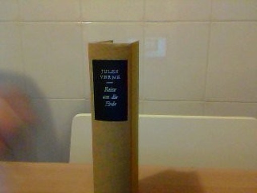 Reise Und Die Erde  Julies Verne Diogenes