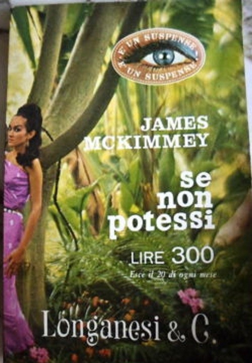 Se Non Potessi James Mc Kimmey Longanesi