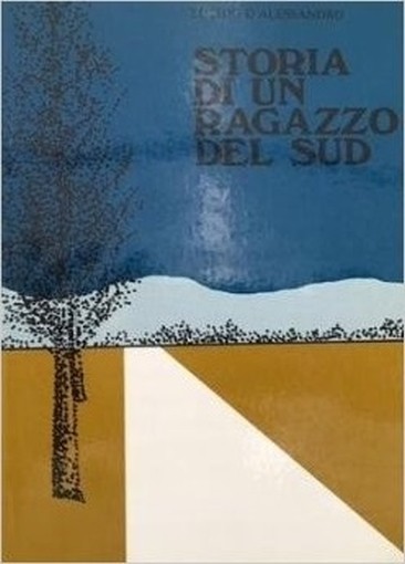 Storia Di Un Ragazzo Del Sud Lucido D'Alessandro Cartongraf